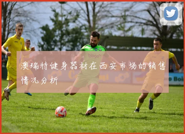 澳瑞特健身器材在西安市场的销售情况分析