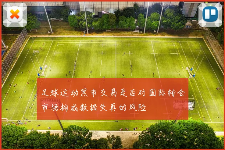 足球运动黑市交易是否对国际转会市场构成数据失真的风险