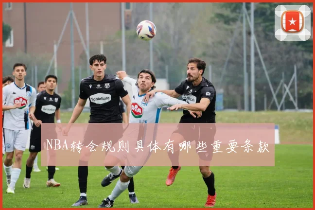 NBA转会规则具体有哪些重要条款